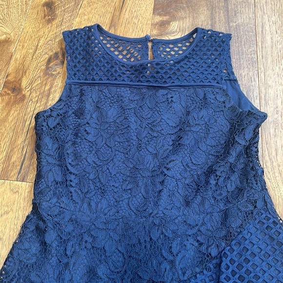 Blush Girl’s Lace Mesh Dress Size 14 - Picture 2 of 8